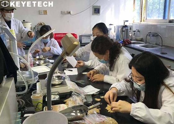 Vaglio del riso di qualità dell'analizzatore del laboratorio di uso di distribuzione cruda del grano