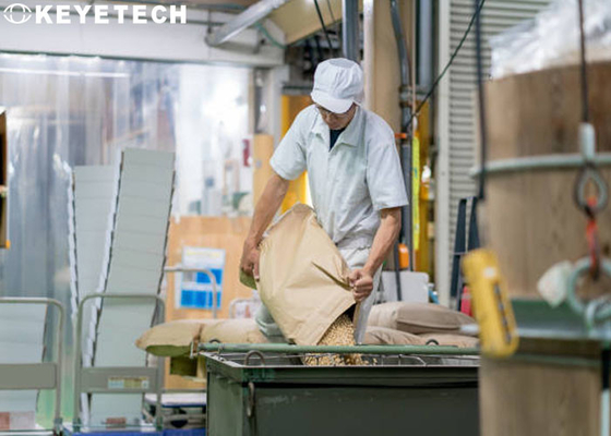 Qualità dei prodotti alimentari visiva automatizzata completa che controlla macchina per vedere se c'è lo stoccaggio del grano