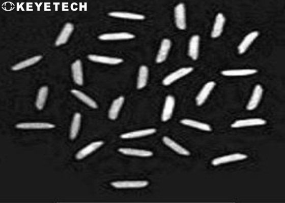 Laboratorio dell'analizzatore di qualità del riso di analisi alimentare con 900-1200pcs per velocità minuscola