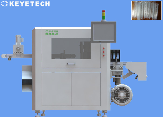 Straw Defective Product Inspection Machine con il sistema d'etichettatura automatico