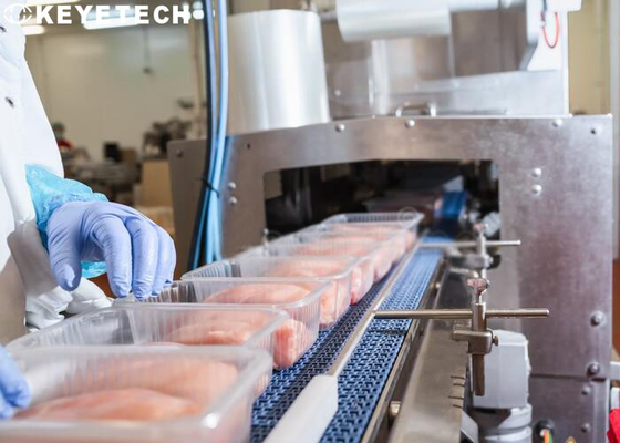 Attrezzatura d'imballaggio di ispezione per i contenitori di alimento eliminabili di plastica dei pp