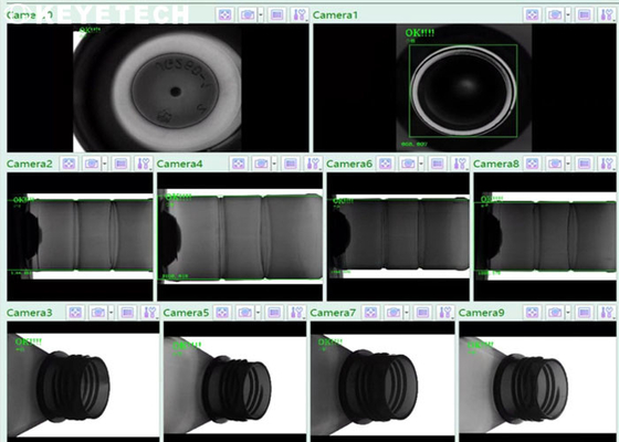 Visione in The Field della macchina d'imballaggio di ispezione con intelligenza artificiale