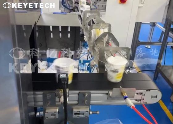 Soluzioni chiavi in mano IML Robot di ingresso con sistema di ispezione visiva completamente automatizzato
