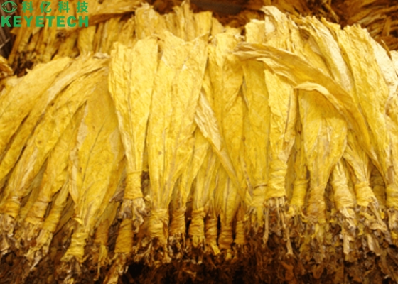 Vaglio di KEYE Tobacco Leaf Automatic Vision per ispezione di qualità