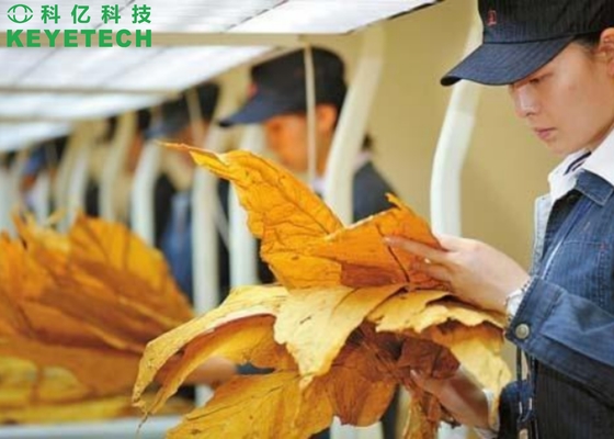 Vaglio di KEYE Tobacco Leaf Automatic Vision per ispezione di qualità
