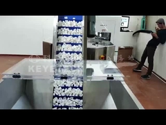 Helicap Vision Sorting Machine (macchina di selezione della visione in elicottero)