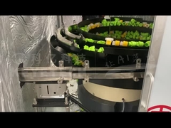 Macchina di selezione del tappo del becco - collo corto